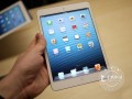 7.9英寸A5雙核 iPad mini超低冰點(diǎn)價(jià)(圖)