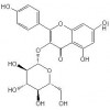 紫云英苷，百蕊草素I，槲皮素，槲皮苷，香葉木素