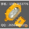 BFE8120 內(nèi)場強(qiáng)光防爆應(yīng)急燈