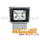 供應(yīng)LEDPC-D1007LED 投光燈 70W