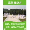 辟谷減肥班多少錢——廣東辟谷