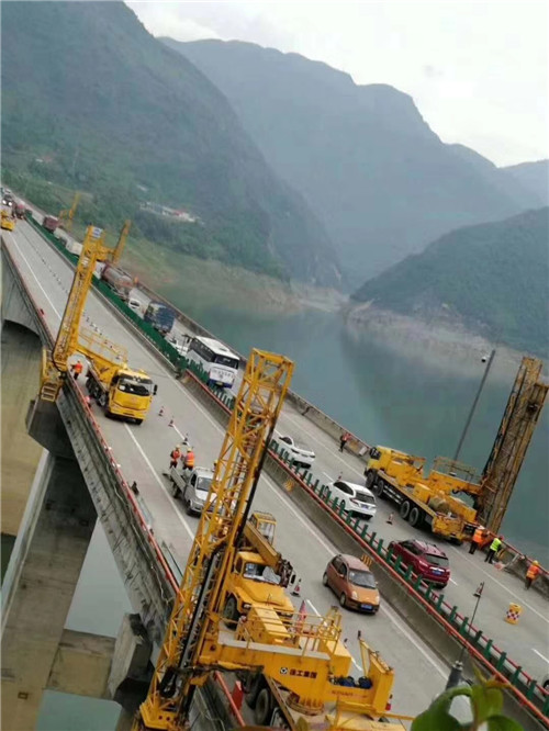 東鳳樹枝修剪車出租服務(wù)中心歡迎您