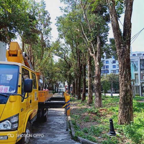 西陵哪有倉庫維修車出租公司？