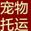 客車：大連到四平客車時刻表