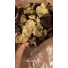 新聞:河南新會東甲陳皮禮品定制，送領(lǐng)導(dǎo)送長輩_新會陳皮批發(fā)(